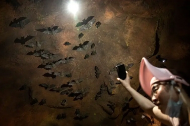 A sensational video of scientists of Wuhan CDC collecting samples in bat caves