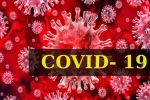 World Health Organization, World Health Organization, who renames the deadly coronavirus as covid 19, Spanish flu