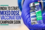mixed dose vaccination updates, Coronavirus India, india to start mixed dose vaccination campaign soon, Pfi