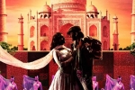 Events in Florida a, Florida Event, taj express, Pop music Events in Florida a, Florida Event, taj express, Pop music