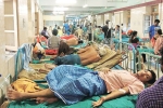 dengue patients in world, dengue mosquito, people with low iron levels in blood likely to transmit dengue, Iron supplements