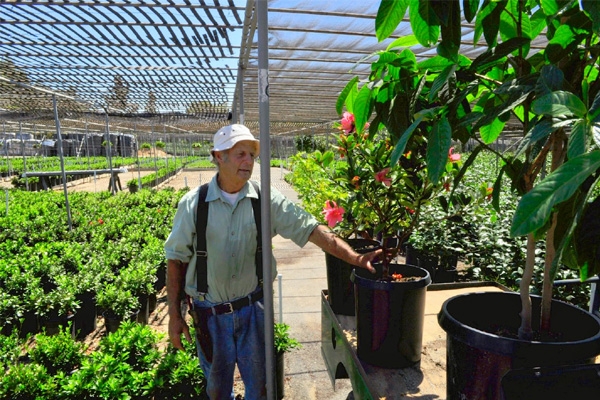 Find your love with fragrant flowers},{Find your love with fragrant flowers