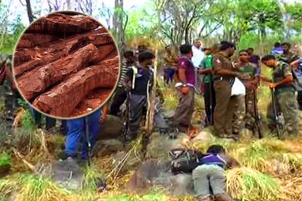 AP cops gunned down 20 red sandalwood smugglers in Chittoor},{AP cops gunned down 20 red sandalwood smugglers in Chittoor