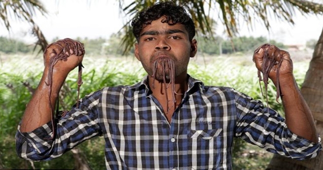 Top News: Meet the insect-eating adventurer from India},{Top News: Meet the insect-eating adventurer from India