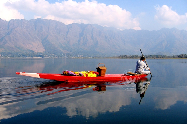 Is Kashmir safe from the Al Qaeda?},{Is Kashmir safe from the Al Qaeda?