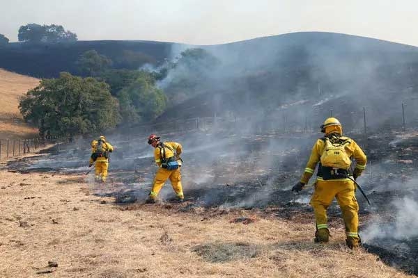 California Death Toll Rises to 29