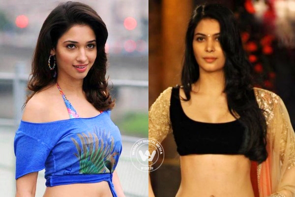 Tamanna loses Aashiqui 2 offer},{Tamanna loses Aashiqui 2 offer