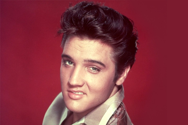 Elvis Presley&#039;s strand of hair up for grabs},{Elvis Presley&#039;s strand of hair up for grabs