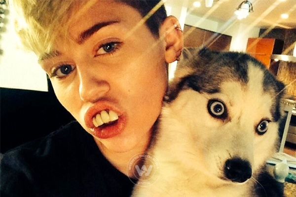 Miley Cyrus is broken},{Miley Cyrus is broken