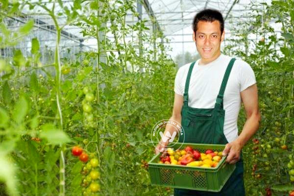Salman Khan turns farmer in real life},{Salman Khan turns farmer in real life