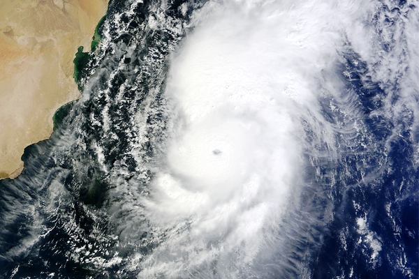 Central and State Agencies Prepared to face challenge},{Central and State Agencies Prepared to face challenge