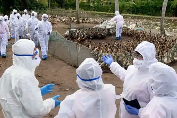 Here is all about the first human case of bird flu in India